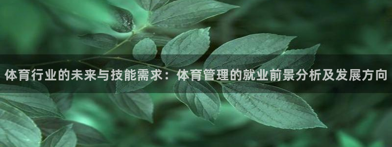 必一体育官方入口：体