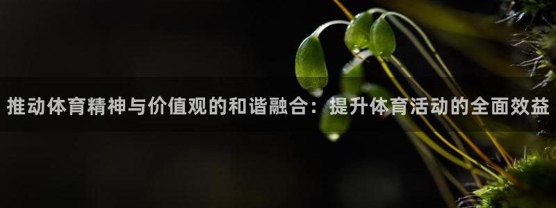 必一体育运动官网：推