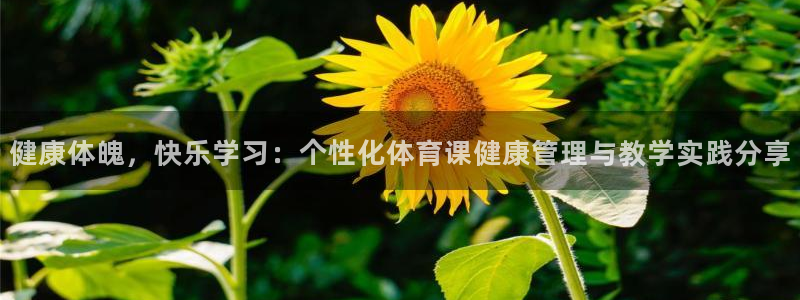 必一体育能提现大金额