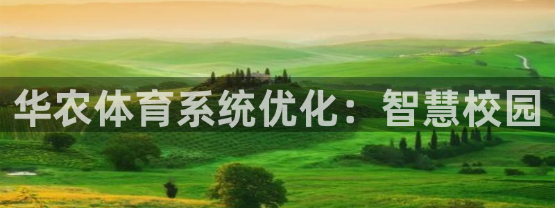 必一体育bsport