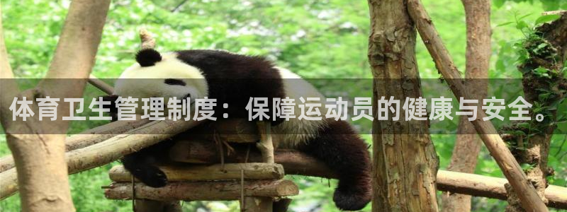 必一体育app官方网