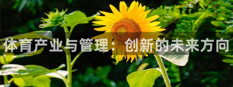 必一体育手机下载：体
