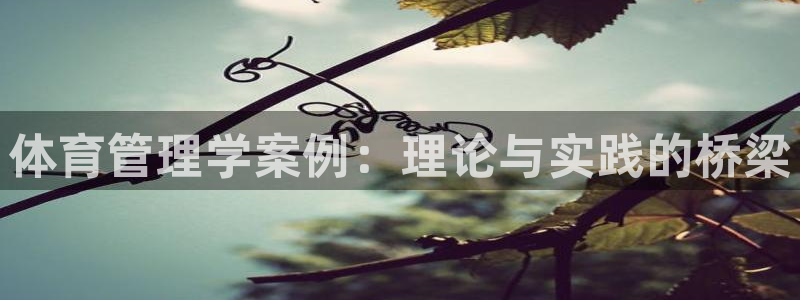 必一体育官方下载入口