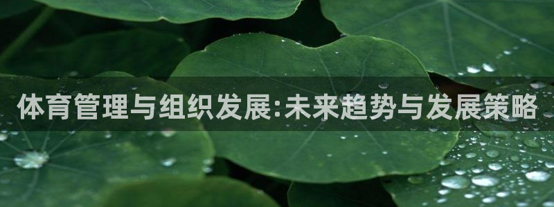 必一运动sport网