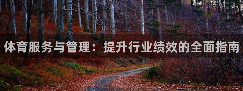 必一运动：体育服务与