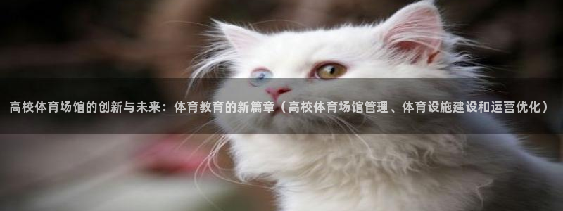 必一体育在哪下：高校