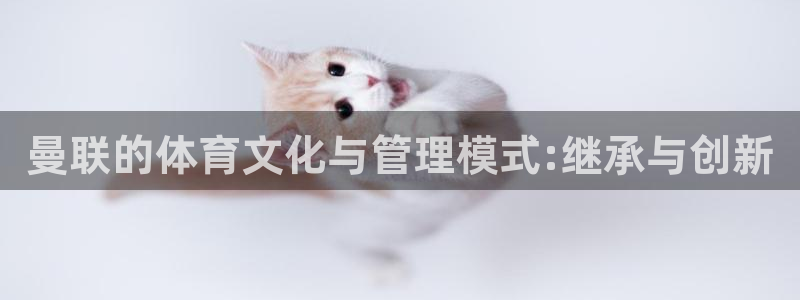 必一运动体育官网：曼