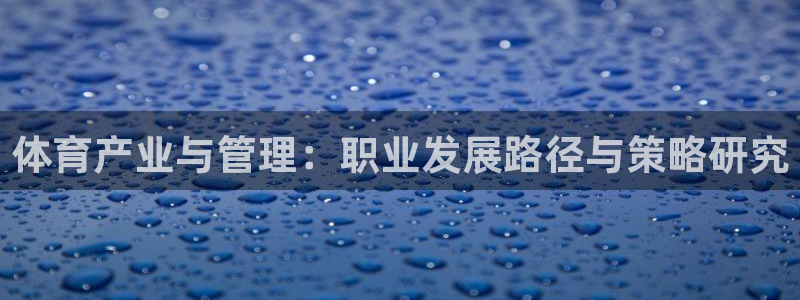 Bsport体育app必一：体育产业与管理：职业发展路径与策