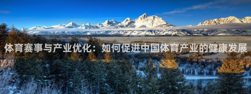 必一体育运动下载：体