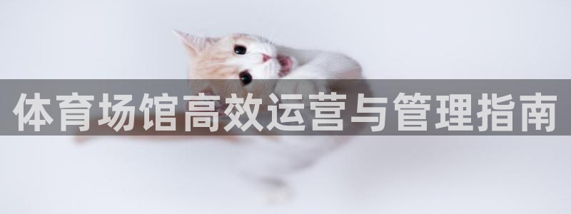 必一体育下载入口
