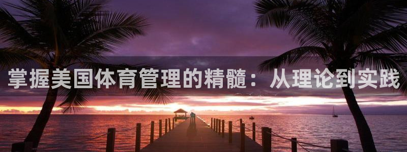 必一体育网站：掌握美
