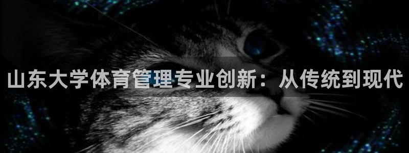 必一体育官方下载：山
