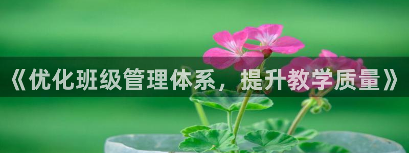 必一体育官方网站入口