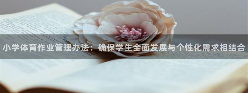 必一体育网站：小学体
