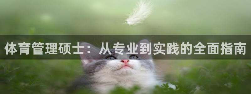 必一体育在线入口：体