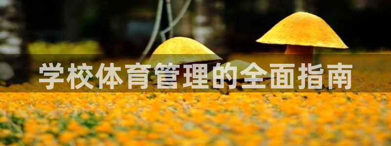 必一体育可靠吗