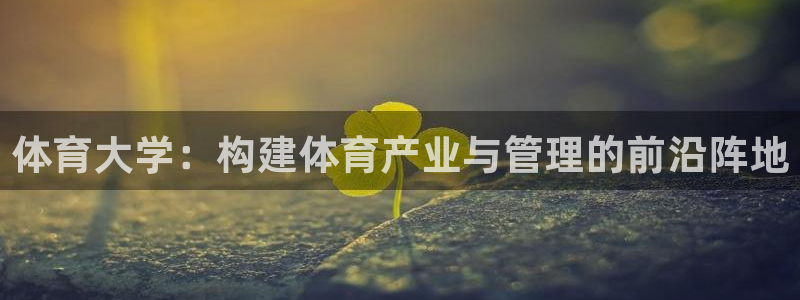 必十二和必一的副作用