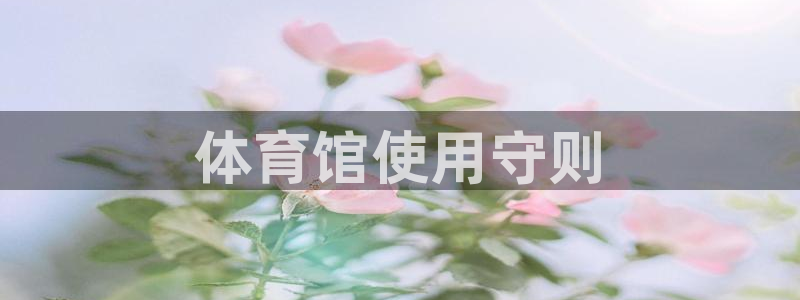 必一体育app下载安