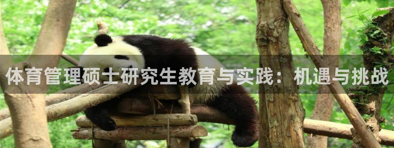 必一体育黑平台：体育