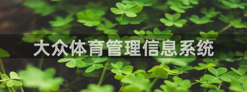 必一体育官方下载