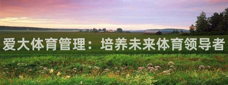 必一体育手机下载：爱