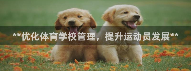 必一体育app官方下