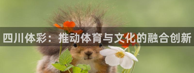 必一体育下载app下