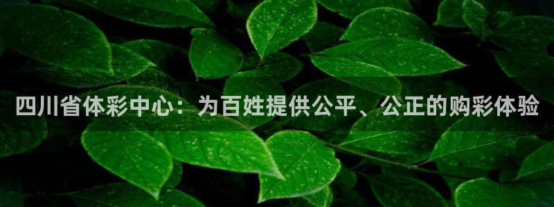 必一体育黑平台：四川