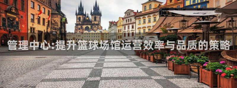 必一体育app官方：