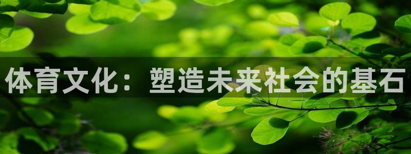 必一运动体：体育文化