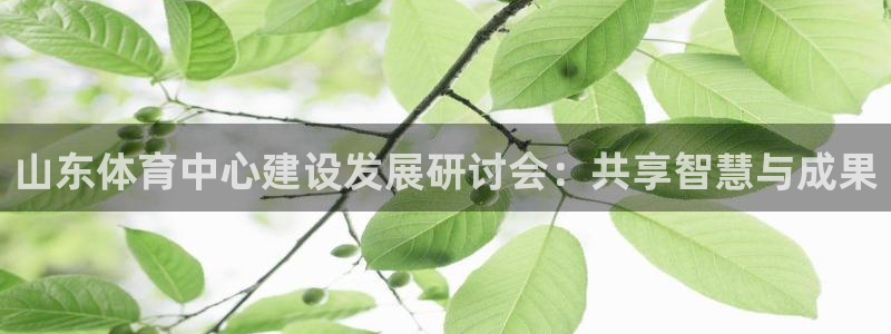 必一运动听的歌：山东体育中心建设发展研讨会：共享智慧与成果