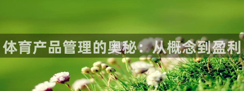 必一体育能提现大金额吗