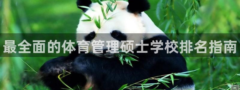 必一运动sport爱