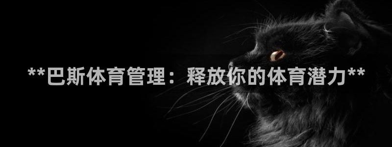 必一体育sport官