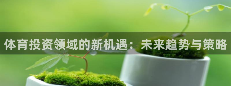 必一体育在线玩：体育