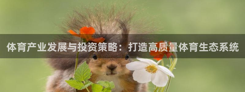 必一体育app官方下