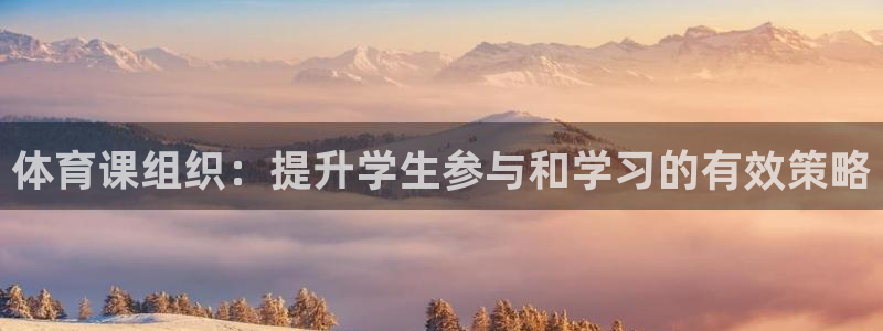 必一体育验证码：体育