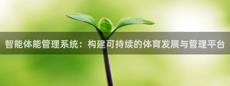 必一运动官网：智能体