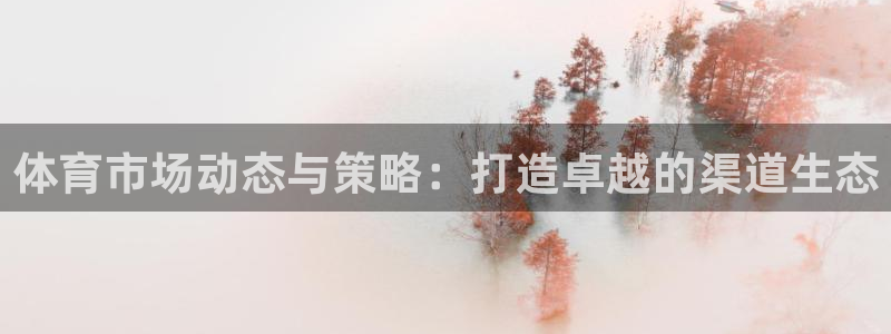 必一体育网页登录版官