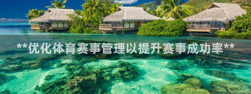 必一体育网站：**优化体育赛事管理以提升赛事成功率**