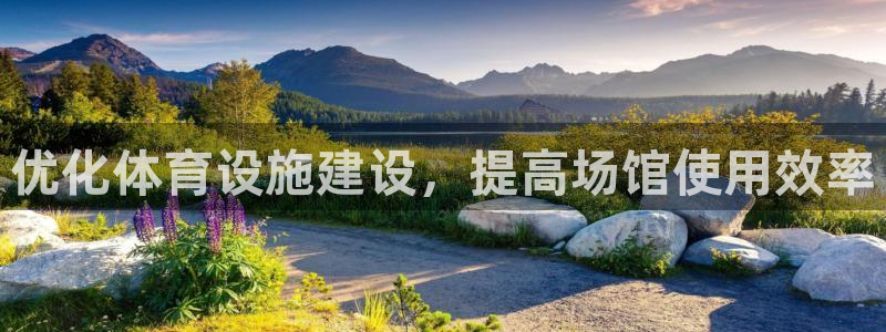 必一体育：优化体育设