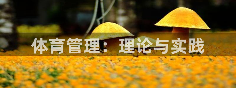 必一体育网站：体育管