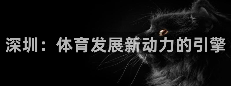 必一体育游戏特色：深