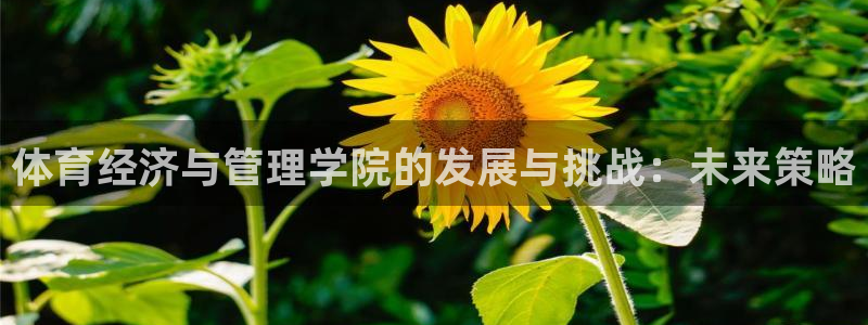 必一体育app下载安